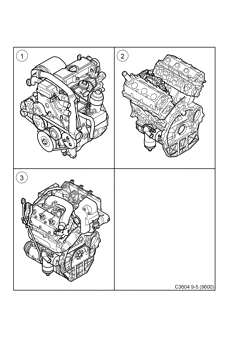 Short engine - Engine, (2002-2005) , D308L,D223L