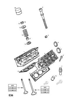 CYLINDER HEAD, PLUGS AND GASKET