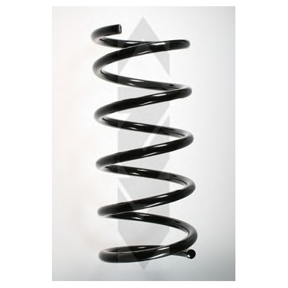 Photo Coil Spring SPIDAN 49149