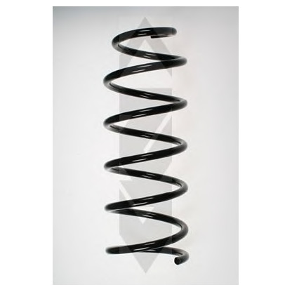 Photo Coil Spring SPIDAN 48842