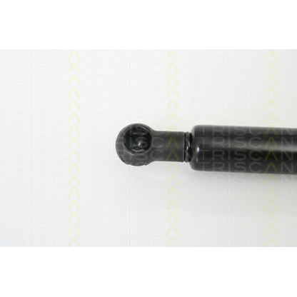 Photo Gas Spring, bonnet TRISCAN 871010100