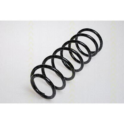 Photo Coil Spring TRISCAN 87501652