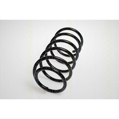 Photo Coil Spring TRISCAN 875024060