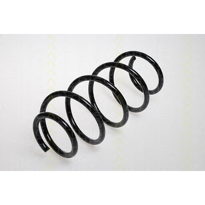 Photo Coil Spring TRISCAN 875024078