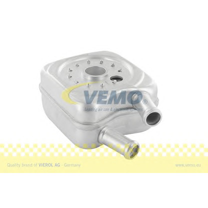 Photo Oil Cooler, engine oil VEMO V15606010