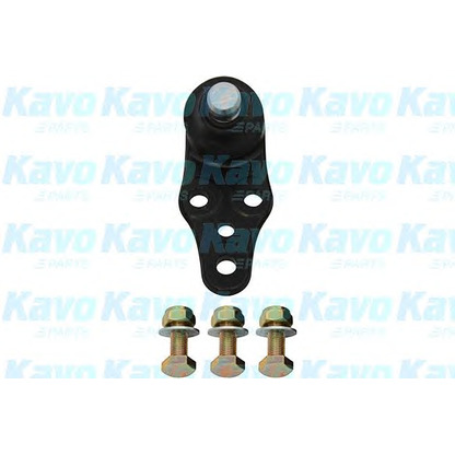 Фото Несущий / направляющий шарнир KAVO PARTS SBJ1003