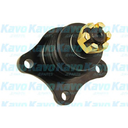 Foto Giunto di supporto / guida KAVO PARTS SBJ5508