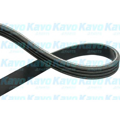 Photo V-Ribbed Belts KAVO PARTS DMV2016