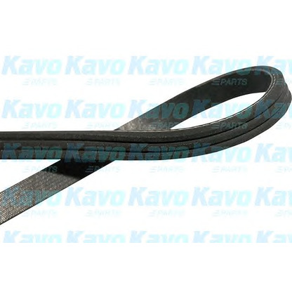 Zdjęcie Pasek klinowy wielorowkowy KAVO PARTS DMV2044