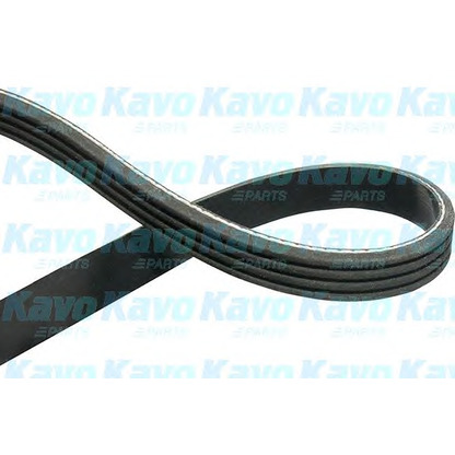 Photo V-Ribbed Belts KAVO PARTS DMV4514