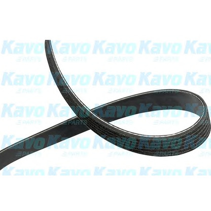 Foto Cinghia Poly-V KAVO PARTS DMV4544