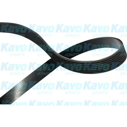 Foto Correa trapecial poli V KAVO PARTS DMV6538