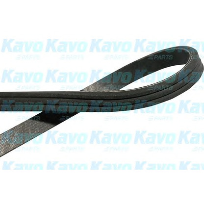 Photo V-Ribbed Belts KAVO PARTS DMV8003