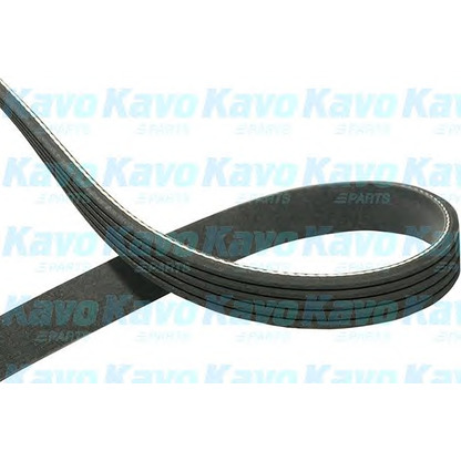 Photo V-Ribbed Belts KAVO PARTS DMV9090