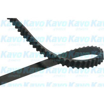 Photo Timing Belt KAVO PARTS DTB5552