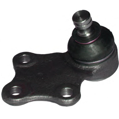 Photo Ball Joint BIRTH CX0209