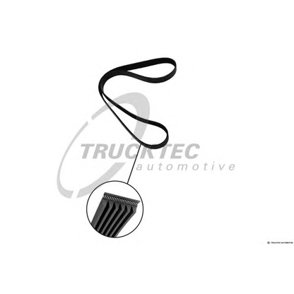 Photo Courroie trapézoïdale à nervures TRUCKTEC AUTOMOTIVE 0219258