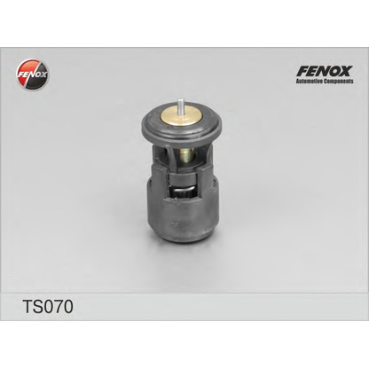 Photo Thermostat d'eau FENOX TS070