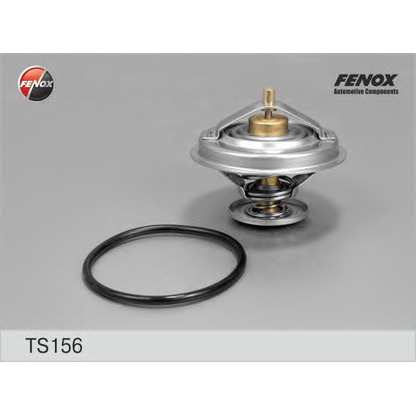 Photo Thermostat d'eau FENOX TS156