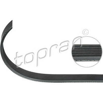 Photo V-Ribbed Belts TOPRAN 205748