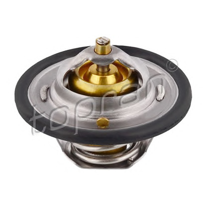 Photo Thermostat d'eau TOPRAN 300030