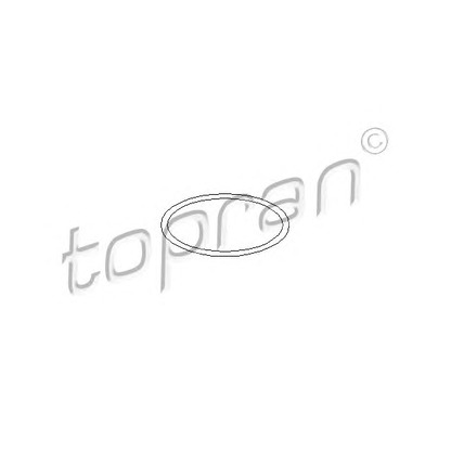 Фото Уплотнительное кольцо, болт крышки TOPRAN 103007