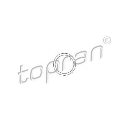 Photo Seal, coolant tube TOPRAN 109639