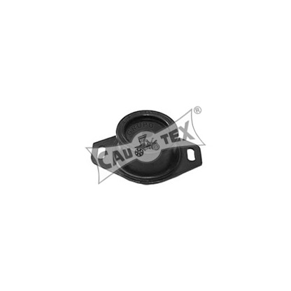 Photo Engine Mounting; Mounting, automatic transmission; Mounting, manual transmission CAUTEX 030301