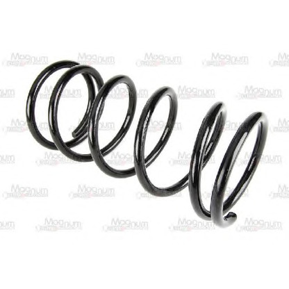 Photo Coil Spring Magnum Technology S00008MT