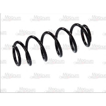 Photo Coil Spring Magnum Technology SW035MT