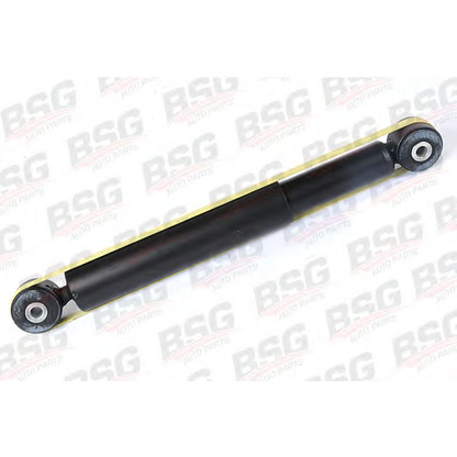 Photo Shock Absorber BSG BSG30300007