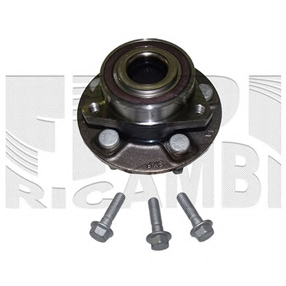 Photo Wheel Bearing Kit CALIBER RC4494