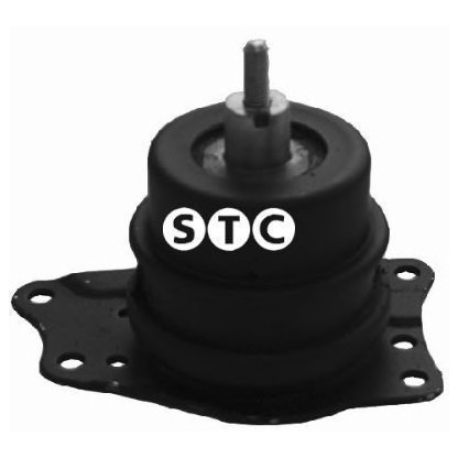 Photo Engine Mounting STC T404786