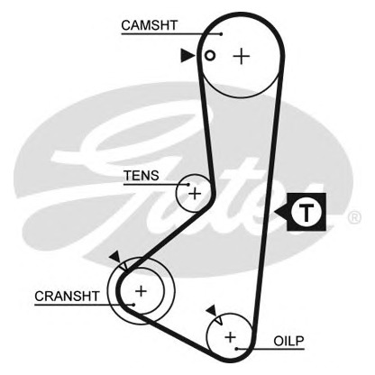 Photo Timing Belt GATES 5075XS