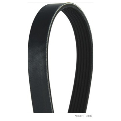 Photo V-Ribbed Belts HERTH+BUSS J1061900