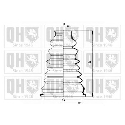 Photo Bellow Set, drive shaft QUINTON HAZELL QJB2548