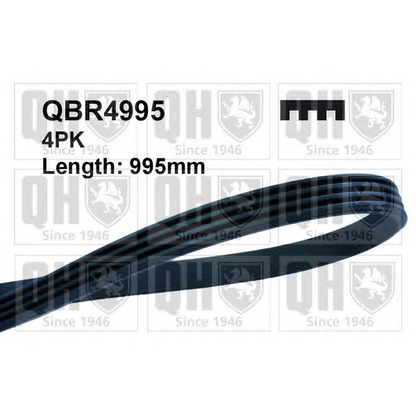 Photo V-Ribbed Belts QUINTON HAZELL QBR4995