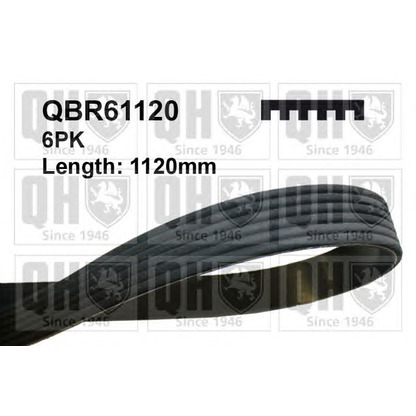Photo V-Ribbed Belts QUINTON HAZELL QBR61120