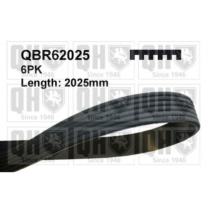 Photo V-Ribbed Belts QUINTON HAZELL QBR62025