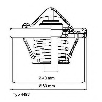 Photo Thermostat d'eau WAHLER 448382D