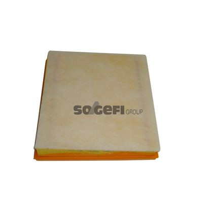 Photo Air Filter SogefiPro PA0747