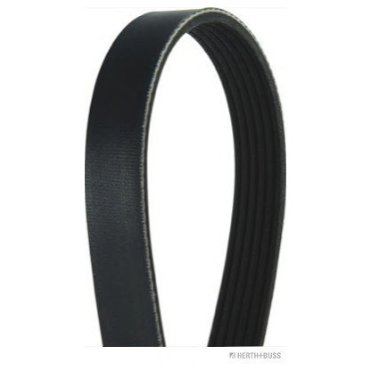 Photo V-Ribbed Belts MAGNETI MARELLI 600000001900