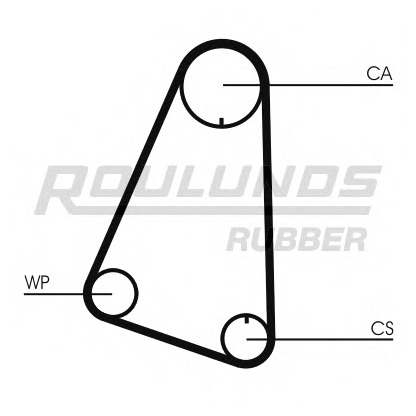 Foto Cinghia dentata ROULUNDS RUBBER RR1008